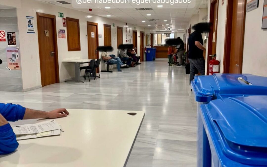 Declaración investigado tráfico de drogas grupo criminal. Libertad provisional, sin fianza